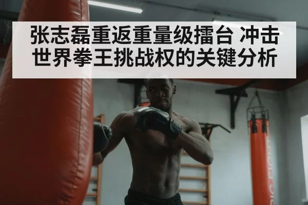 张志磊重返重量级擂台 冲击世界拳王挑战权的关键分析