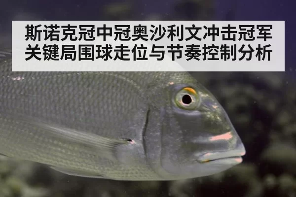 斯诺克冠中冠奥沙利文冲击冠军关键局围球走位与节奏控制分析